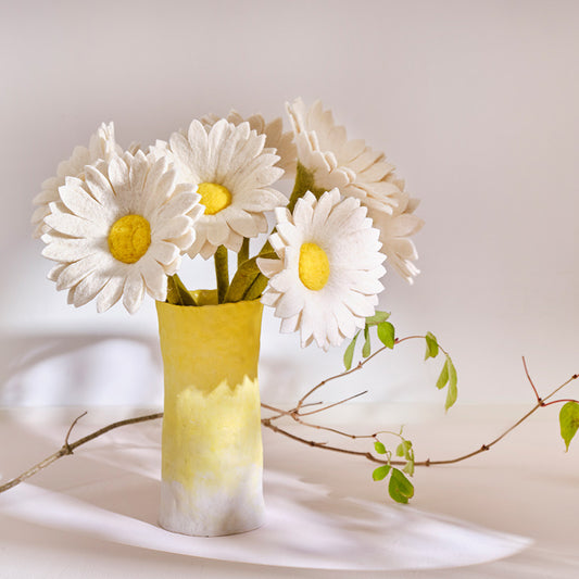 Evigvarende blomst, stor hvit solsikke