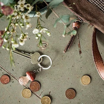 Nøkkelring, steinsopp