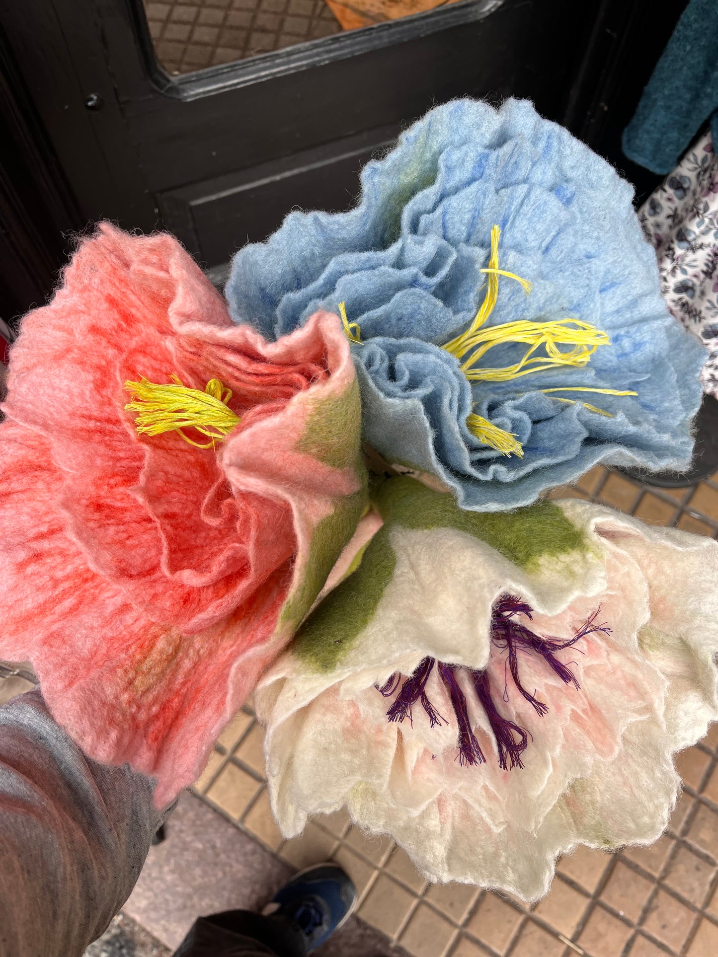 Kjempepeon, hvit/lys rosa