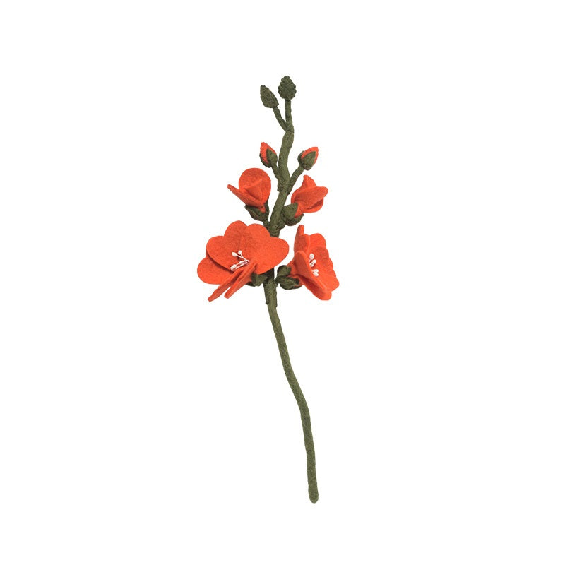 Evigvarende blomst, stor hibiscus