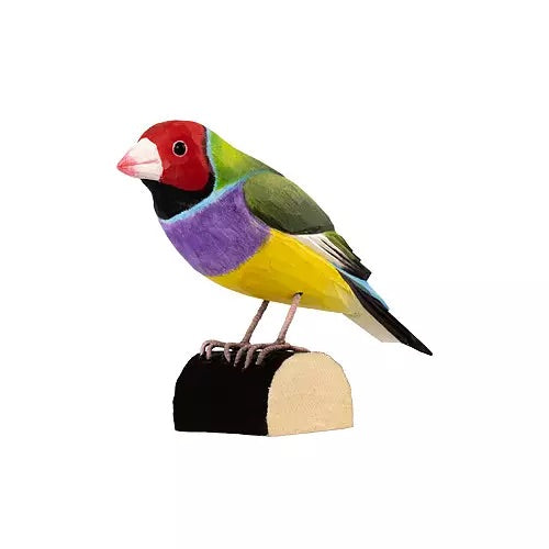 Wildlife Garden trefugl, Gouldamadin