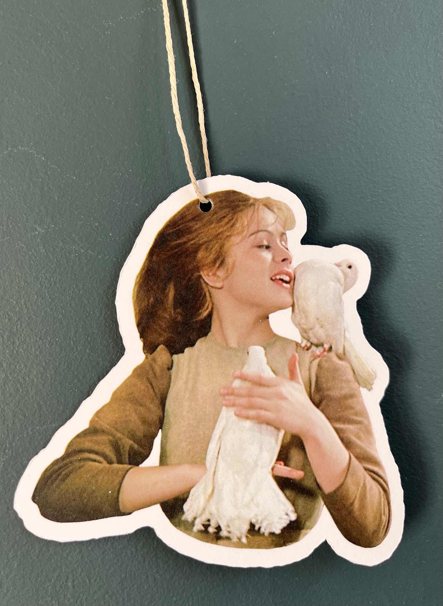 Pakkelapp, Askepott med duer