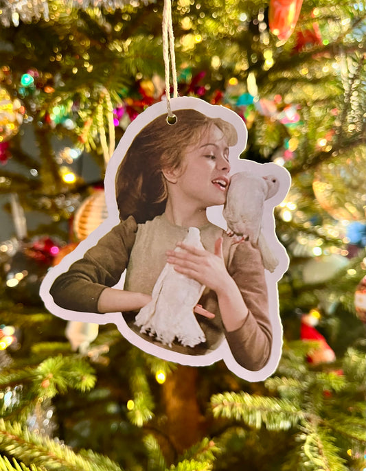 Pakkelapp, Askepott med duer