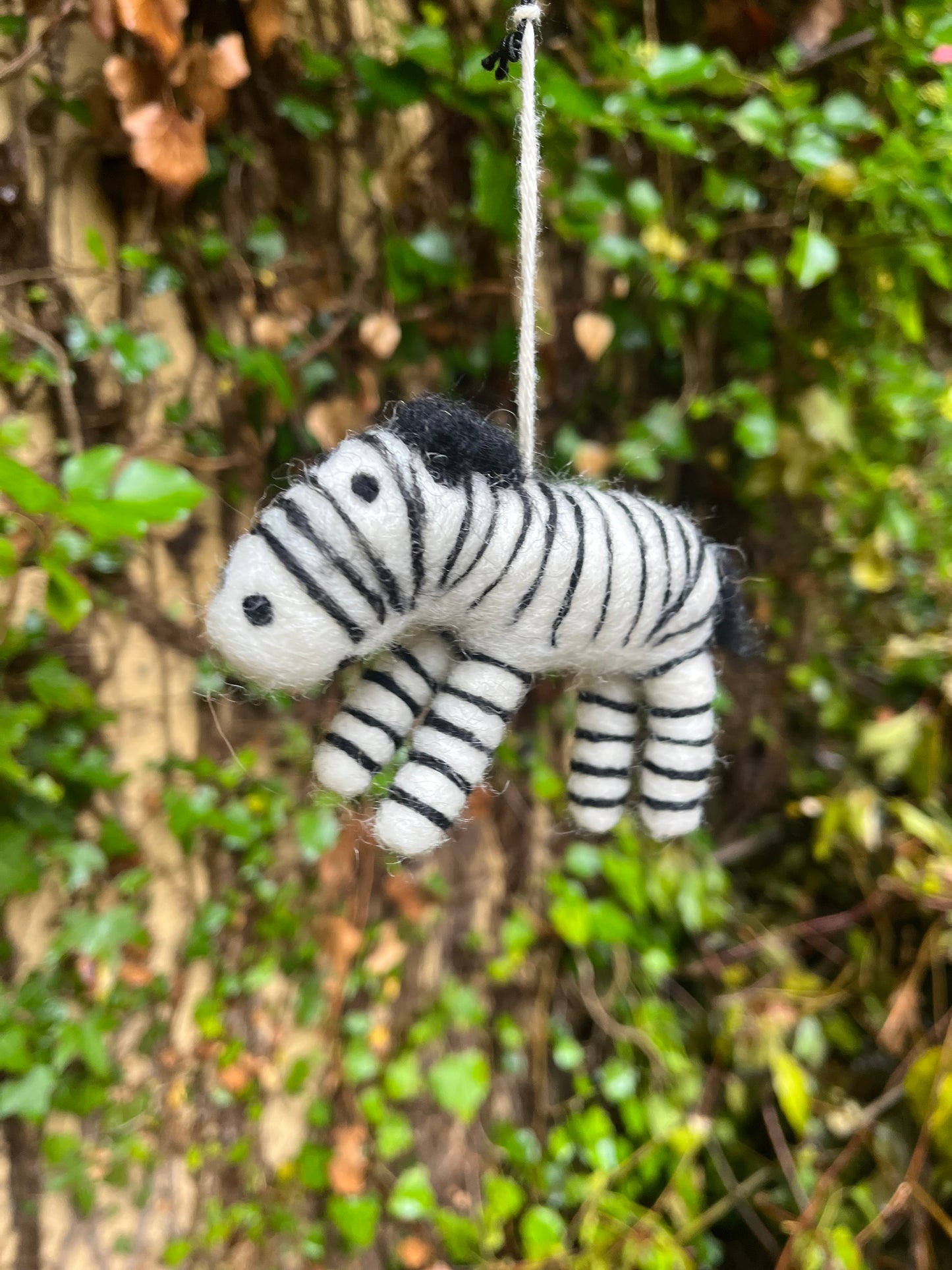 Julekule i ullfilt, Zebra