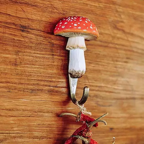 Wildlife Garden treknagg, Fluesopp