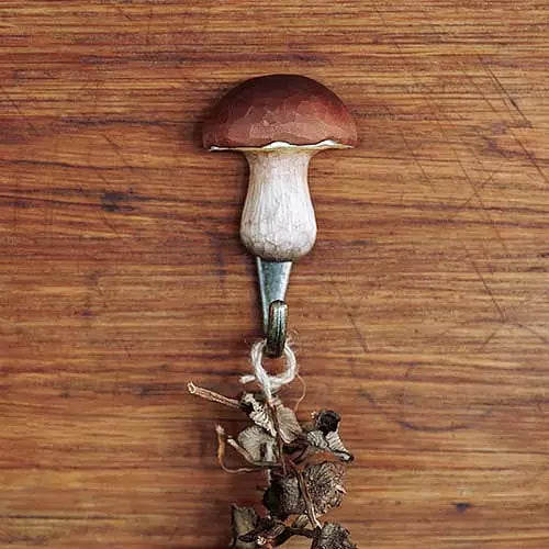 Wildlife Garden treknagg, Steinsopp