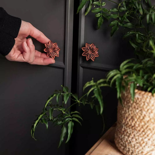 Møbelknott, stjerneanis