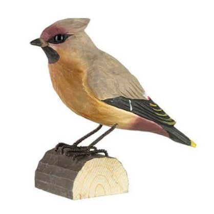 Wildlife Garden trefugl, Sidensvans