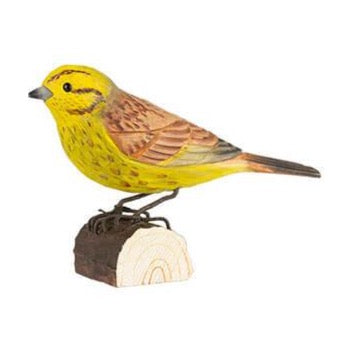 Wildlife Garden trefugl, Gulspurv