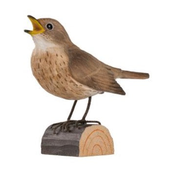 Wildlife Garden trefugl, Nattergal