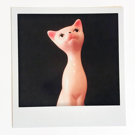 Polaroidkort - Rosa porselenskatt