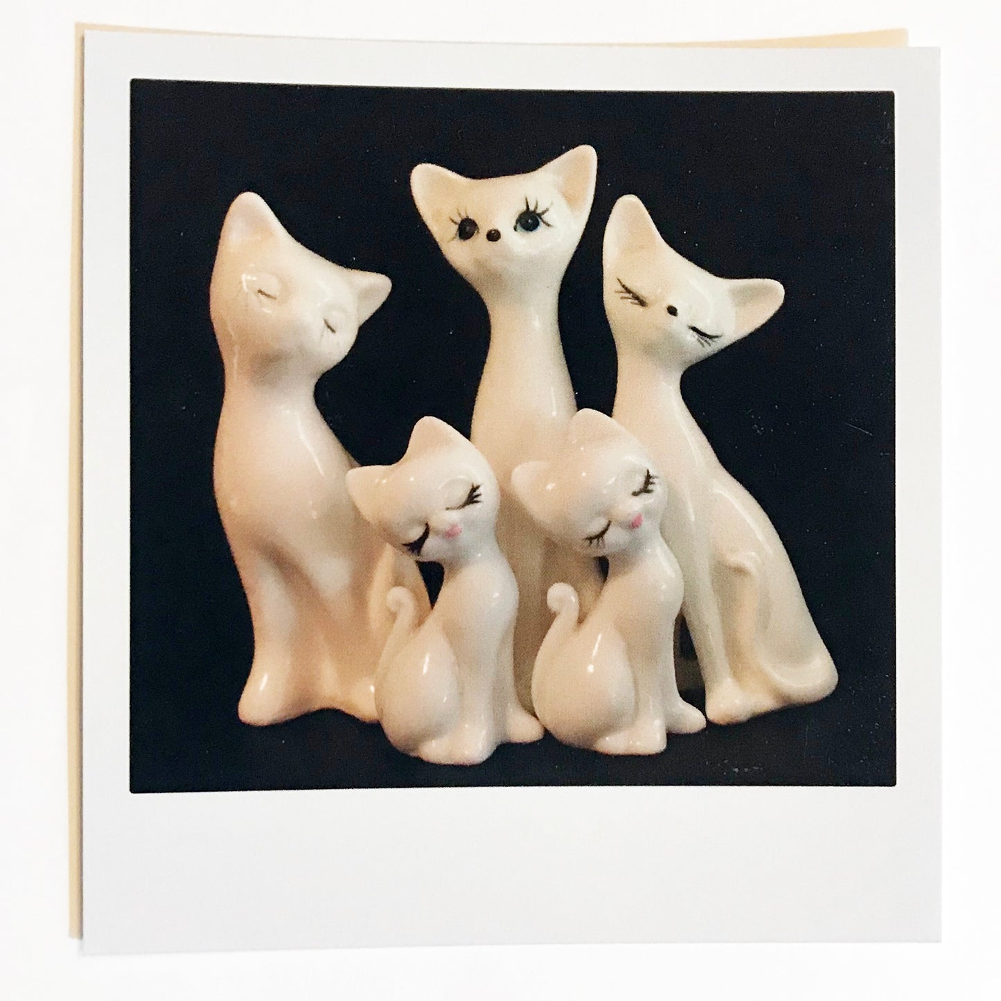 Polaroidkort - Hvite porselenskatter