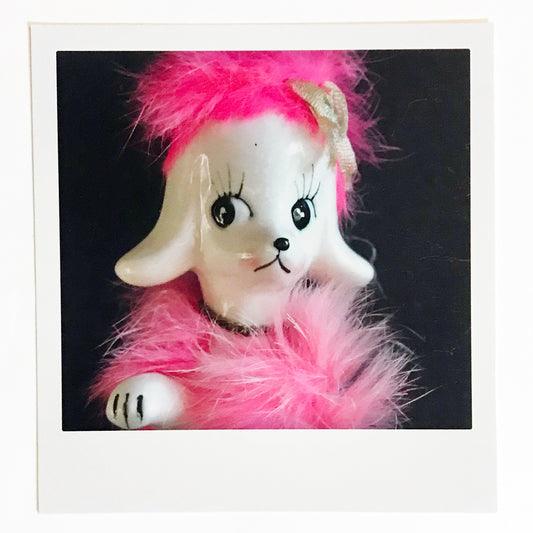 Polaroidkort - Porselenshund