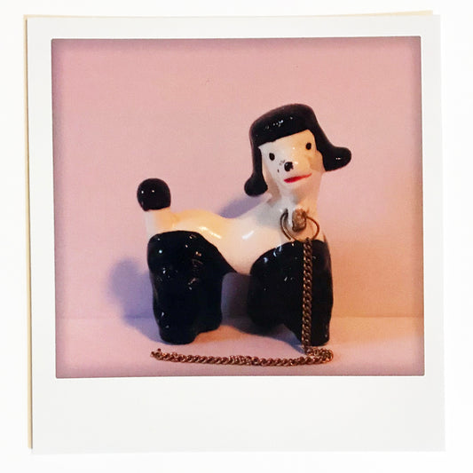 Polaroidkort - Porselenspuddel