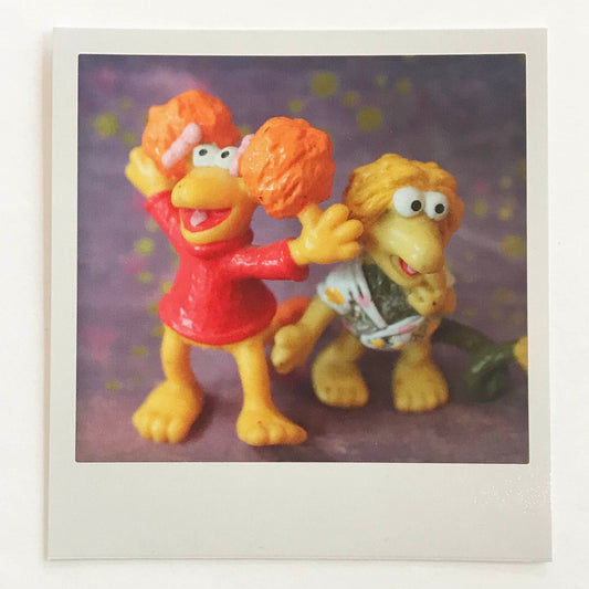 Polaroidkort -Fraglene