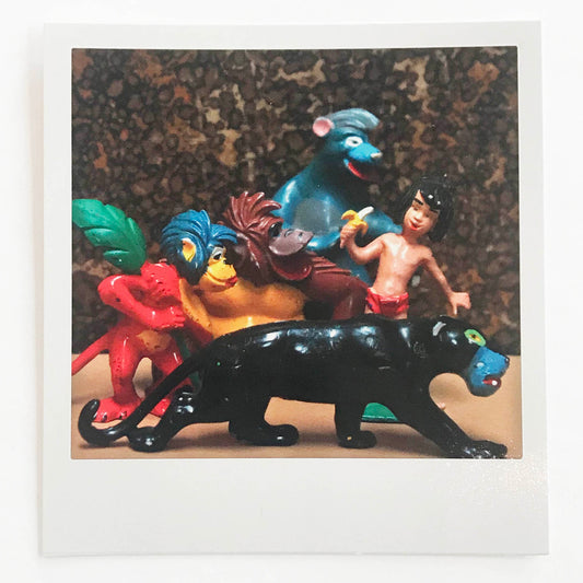 Polaroidkort -Jungelboken