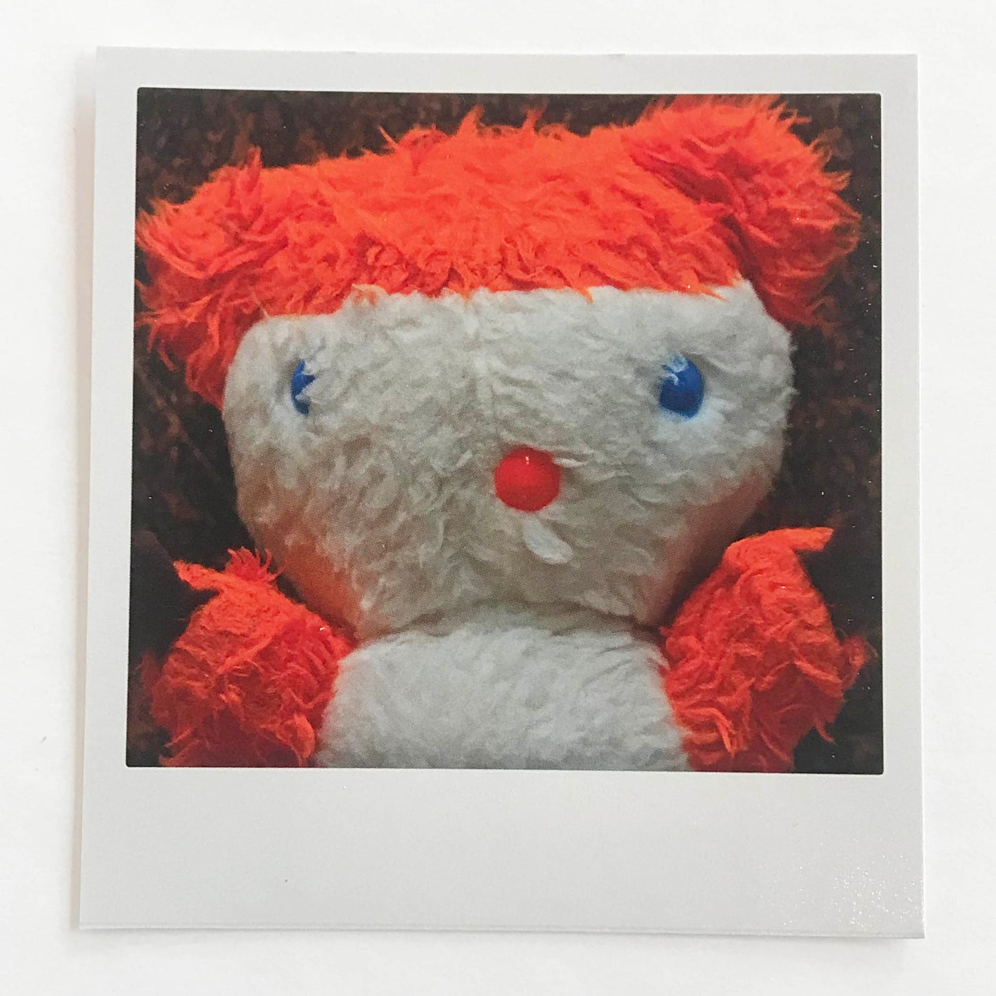 Polaroidkort -Colargol