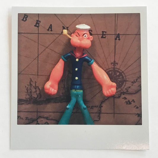 Polaroidkort -Skippern 2