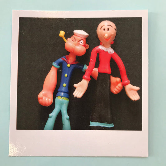 Polaroidkort - Skippern