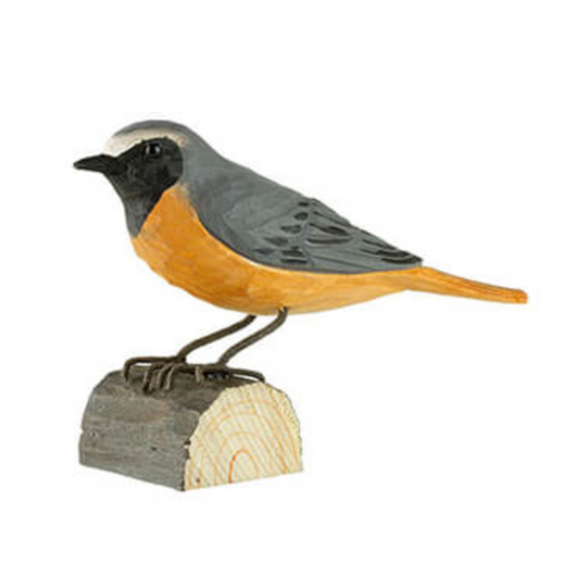 Wildlife Garden trefugl, Rødstjert