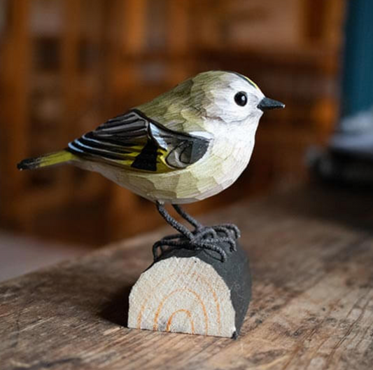 Wildlife Garden trefugl, Fuglekonge