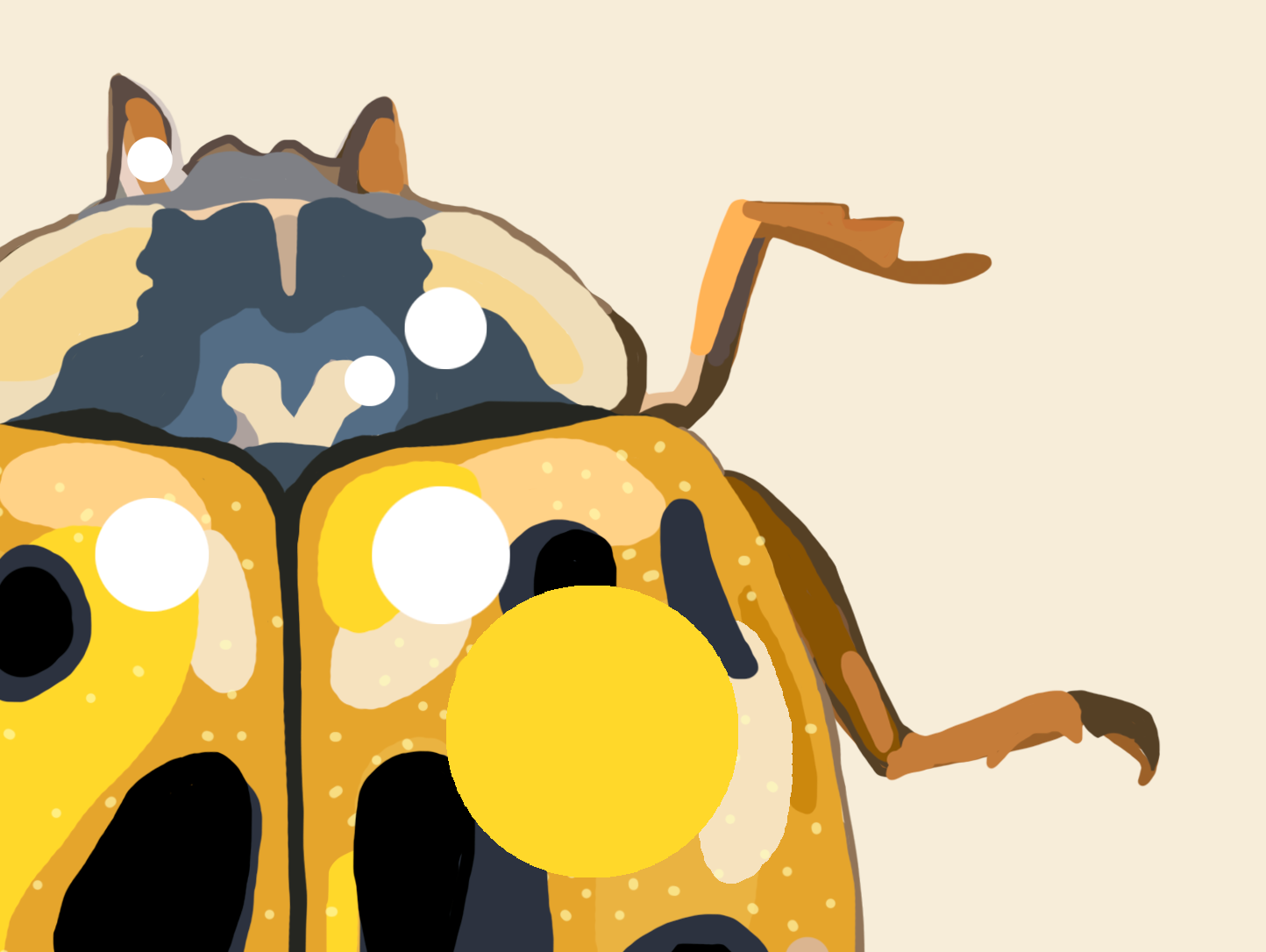 Trykk, Gul harlekinmarihøne, A3-format