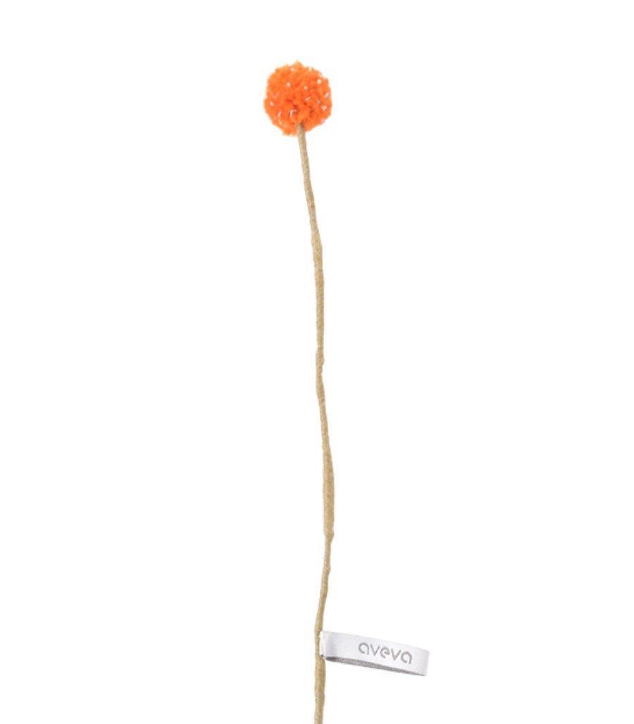 Evigvarende blomst, safran tistel