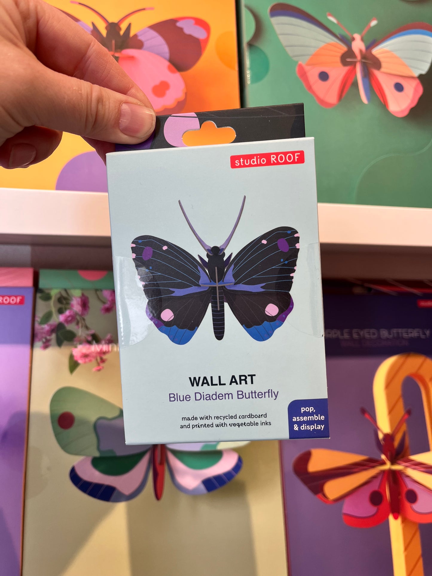 Veggdekor liten, sommerfugl - Blue Diadem