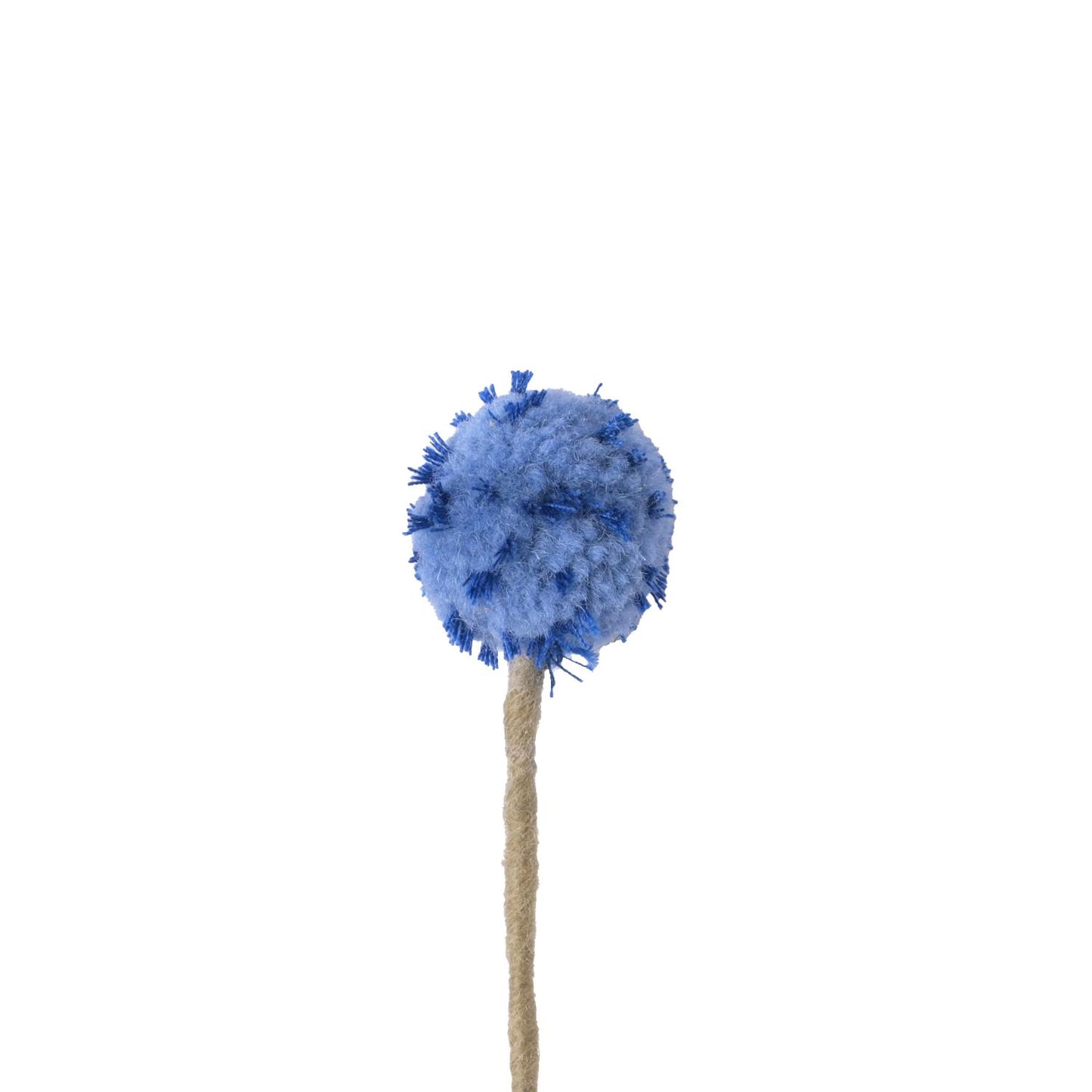 Evigvarende blomst, blå tistel