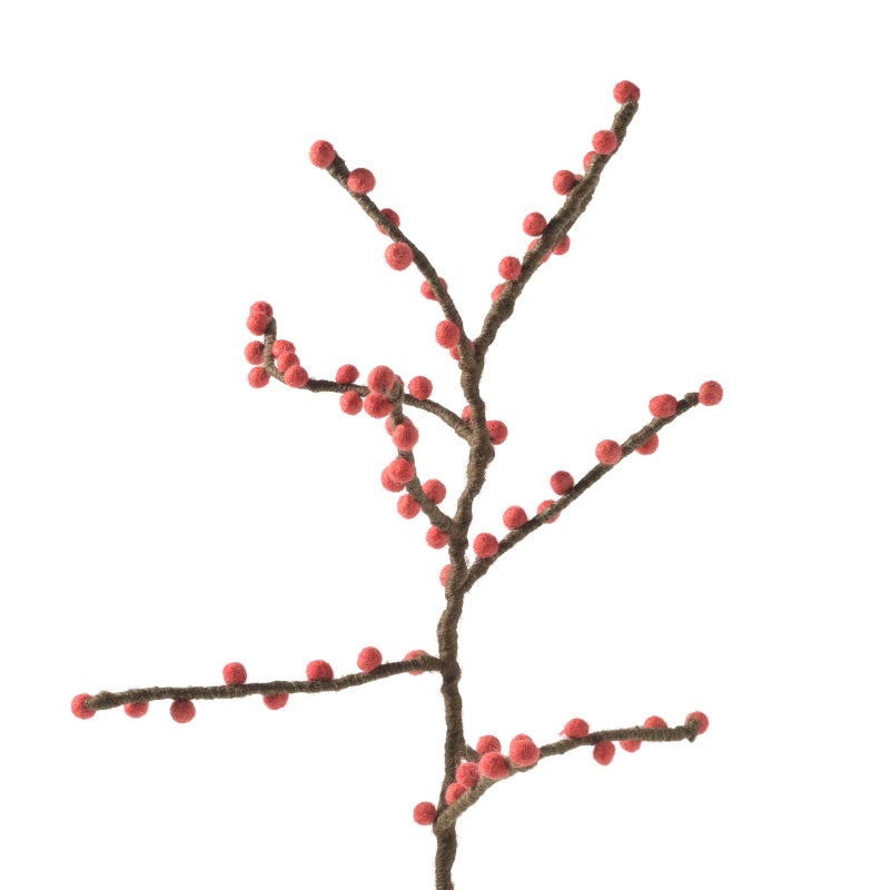 Evigvarende blomst, grein med røde bær