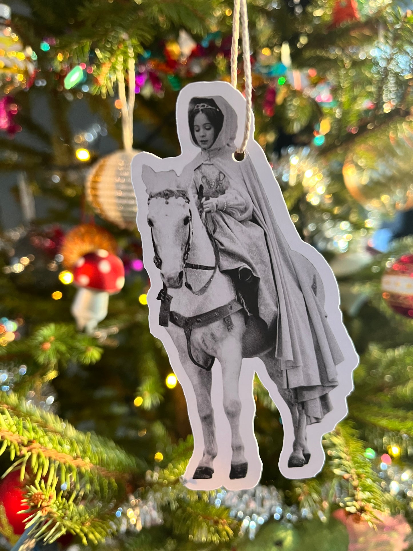 Pakkelapp, Askepott på hest