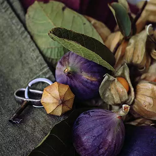 Nøkkelring, physalis