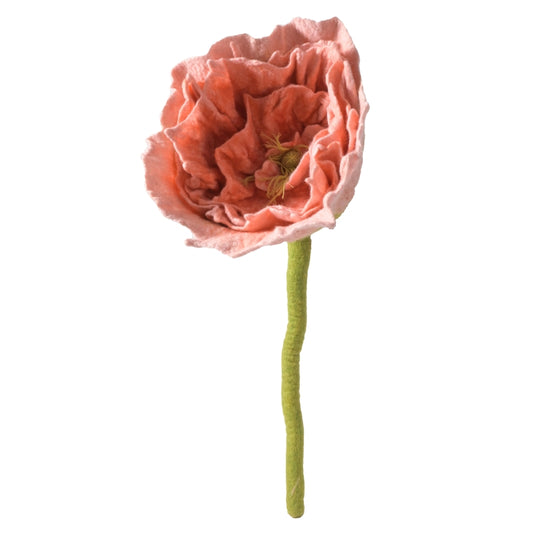 Kjempepeon, rosa