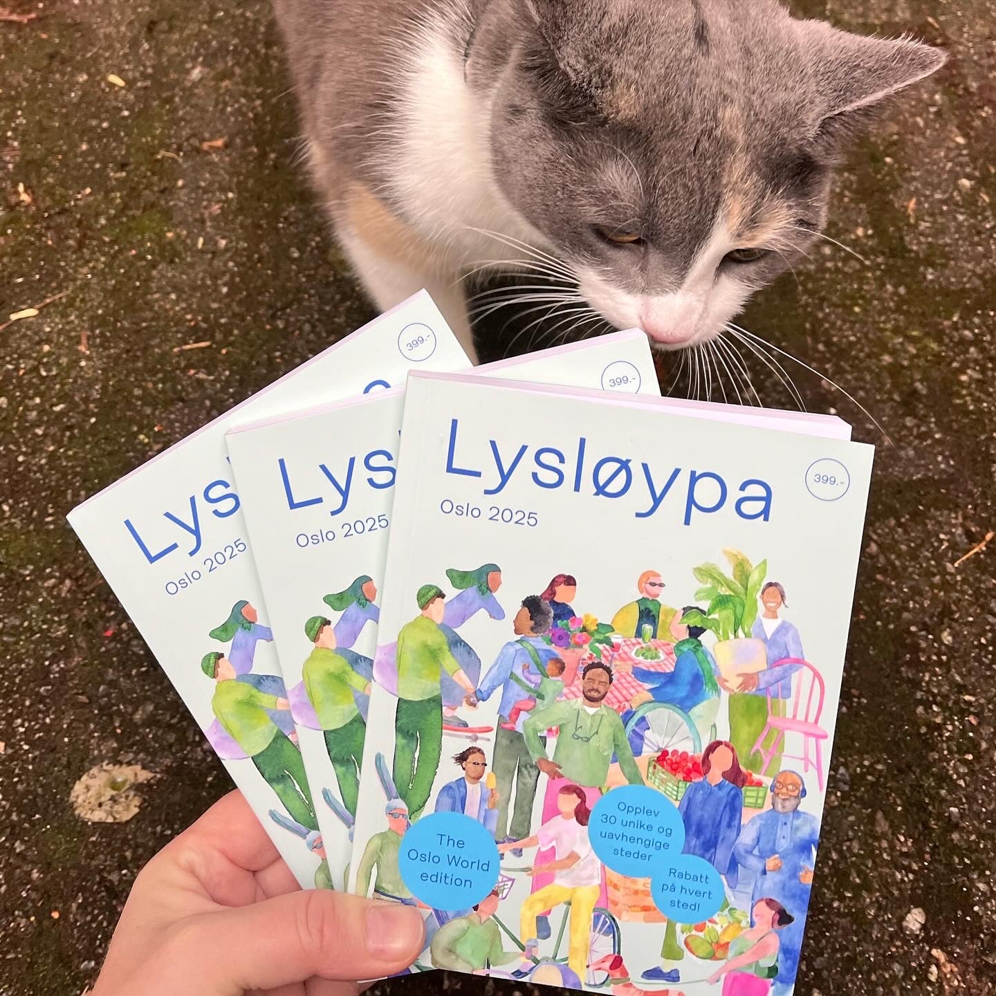 Lysløypa 2025