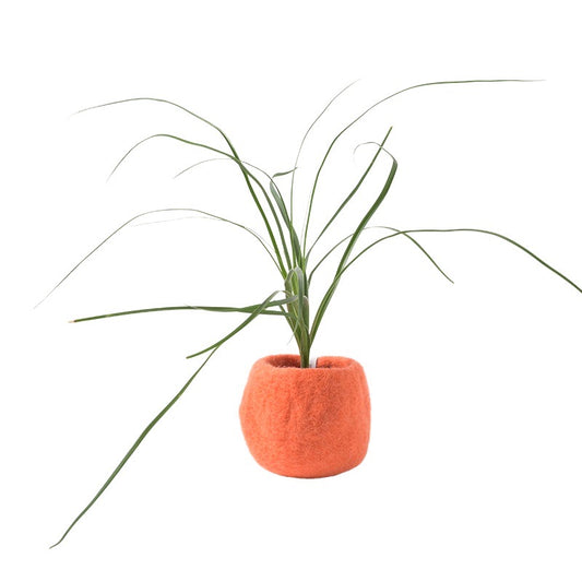 Blomsterpotte i ullfilt, Liten oransje