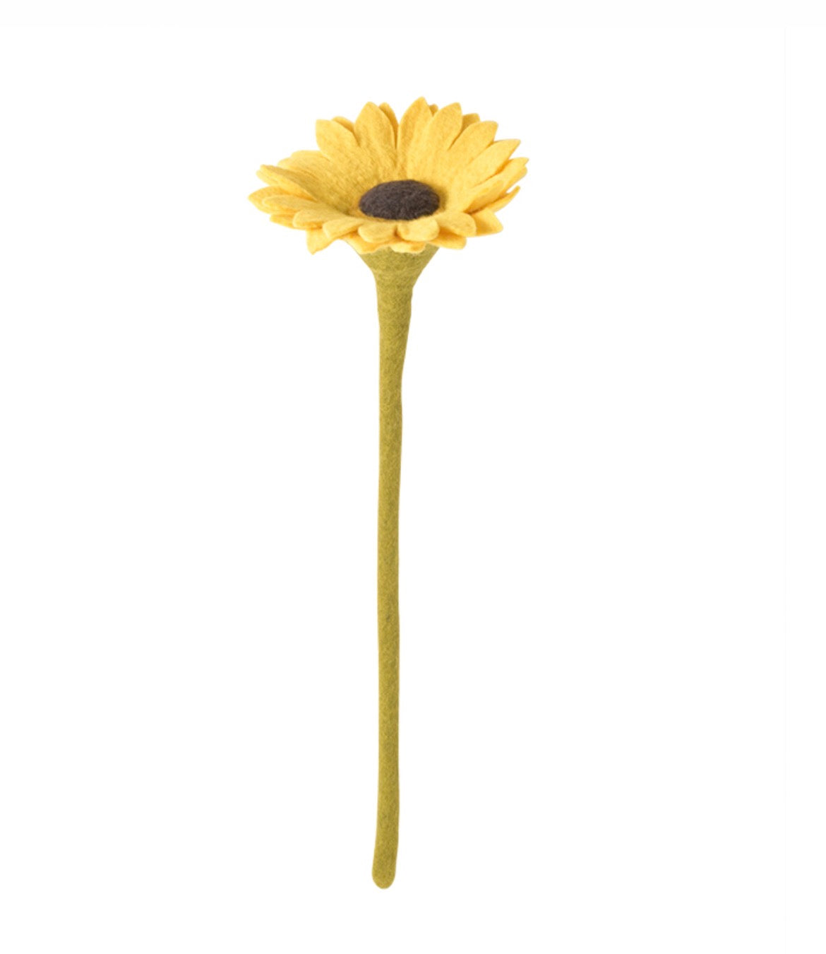 Evigvarende blomst, stor gul solsikke