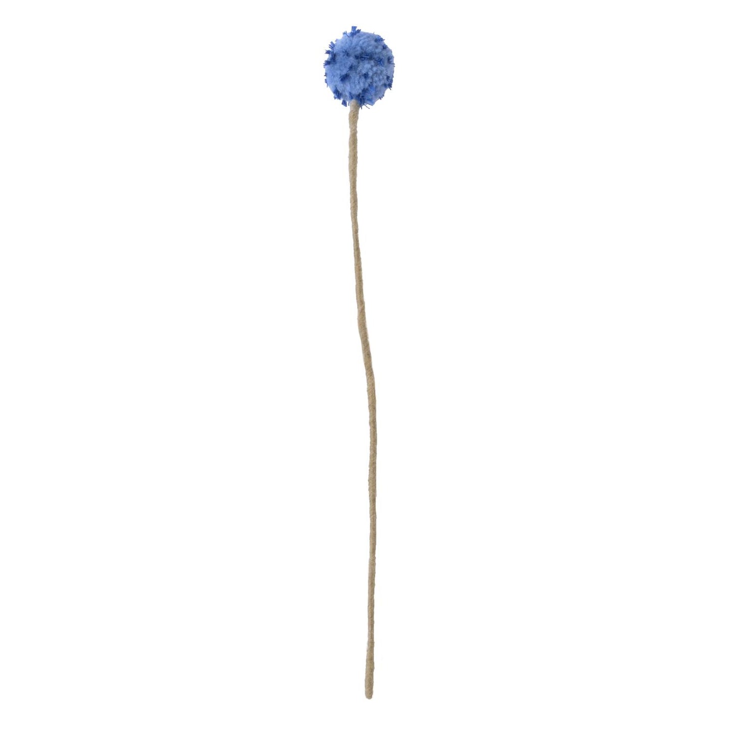 Evigvarende blomst, blå tistel