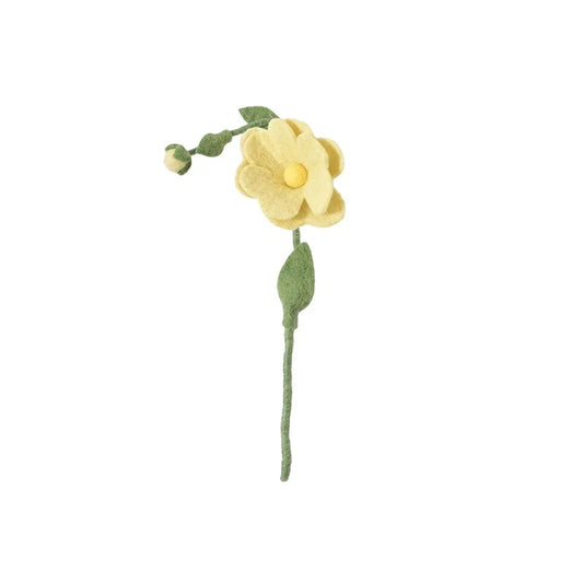 Evigvarende blomst, gul villrose