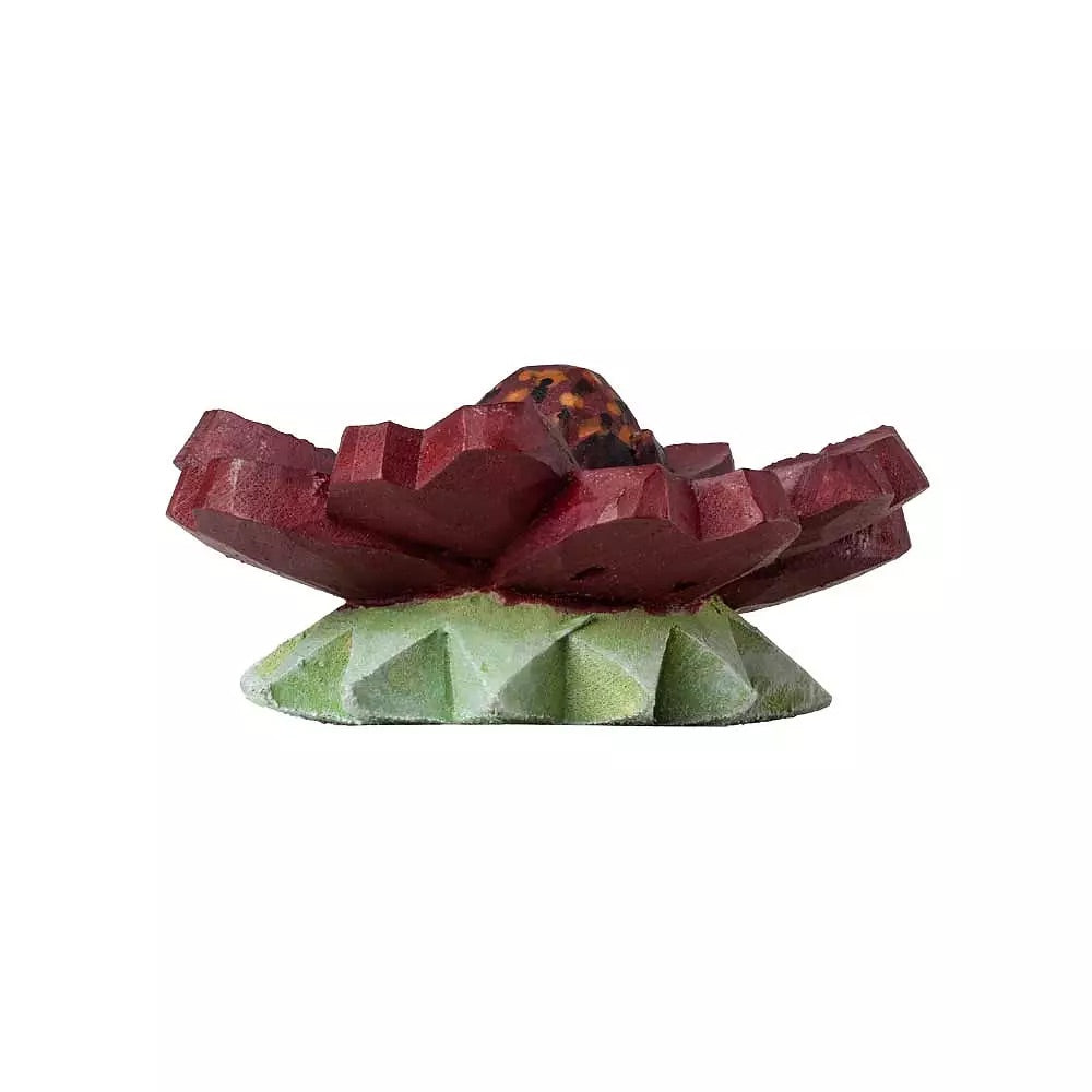 Møbelknott, brun kosmos