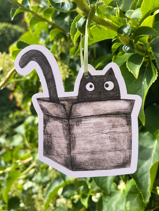 Pakkelapp, Katt i eske