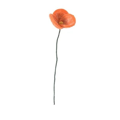 Evigvarende blomst, Valmue oransje