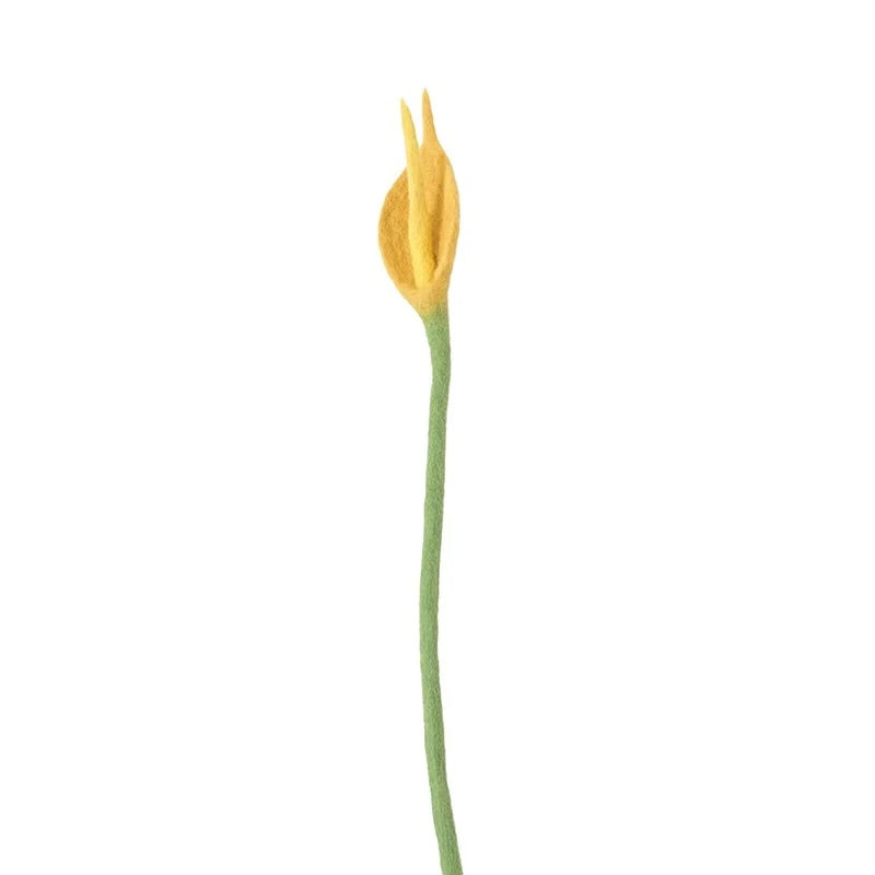 Evigvarende blomst, Flamingo gul