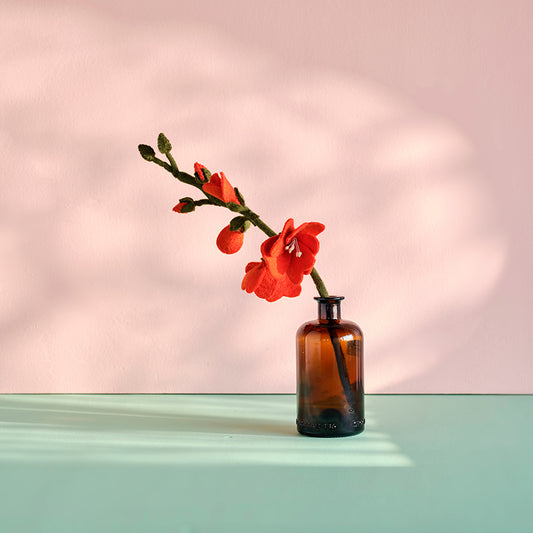 Evigvarende blomst, stor hibiscus
