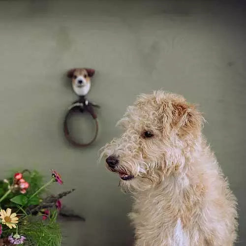 Wildlife Garden treknagg, Jack Russell Terrier