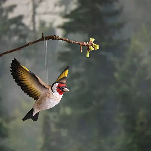 Wildlife Garden trefugl, Flyvende Stillits