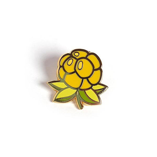 Pin, Multe