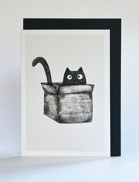 Kort, katt i eske