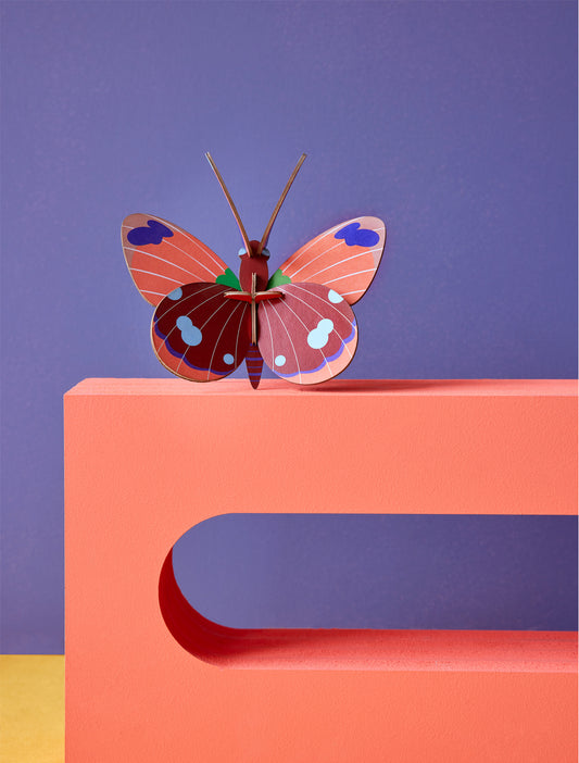 Veggdekor - Liten, Delias butterfly