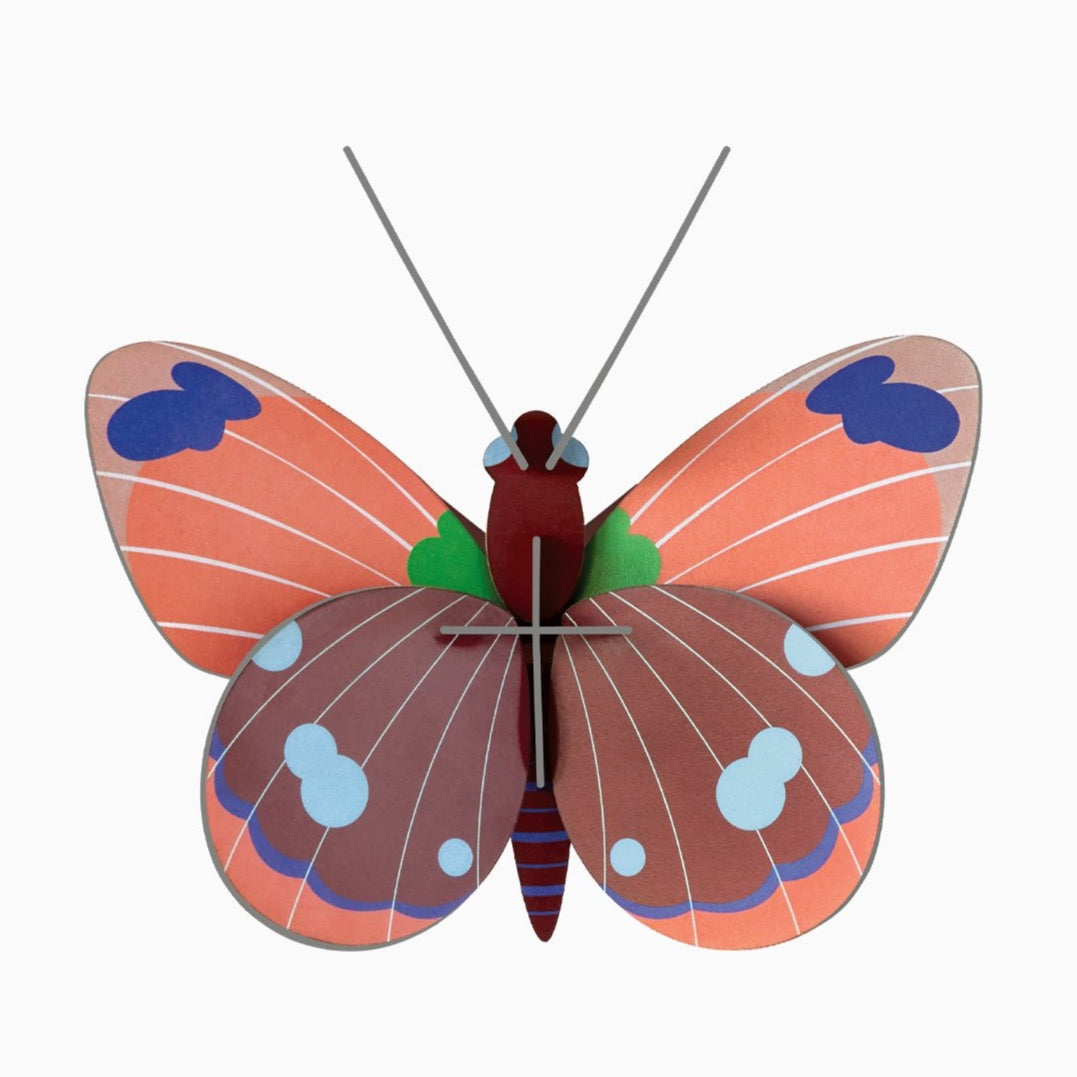 Veggdekor - Liten, Delias butterfly