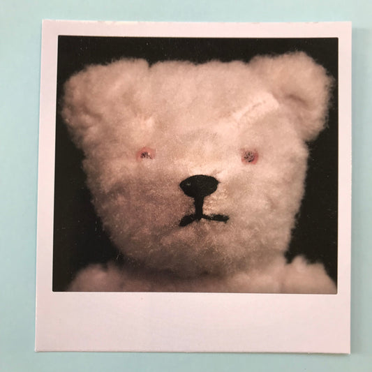 Polaroidkort - Teddybjørn 1